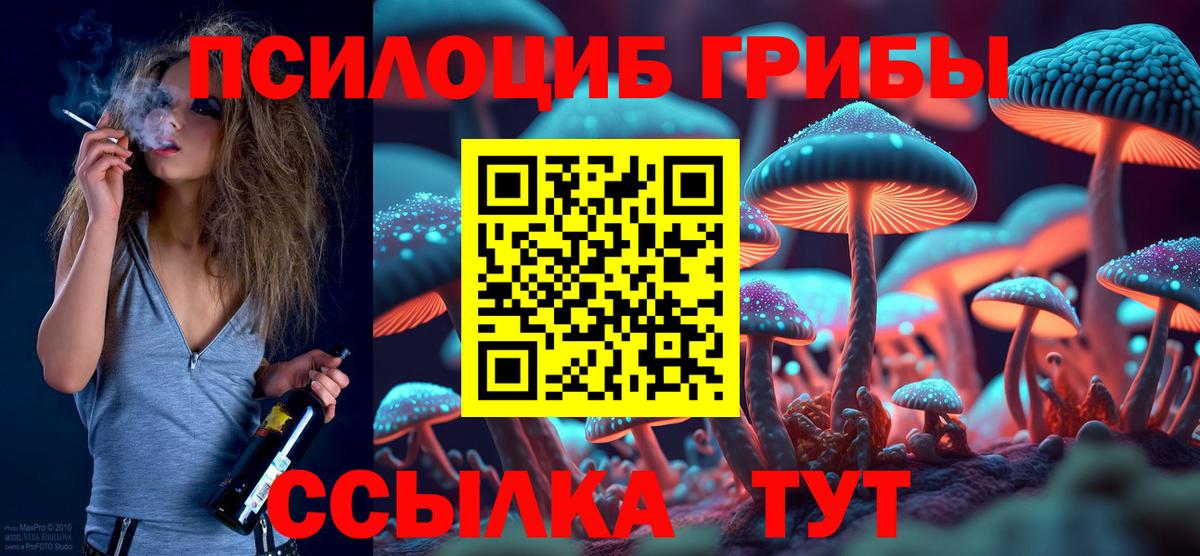 Галлюциногенные грибы Cubensis  Вход с VPN  Озёры 