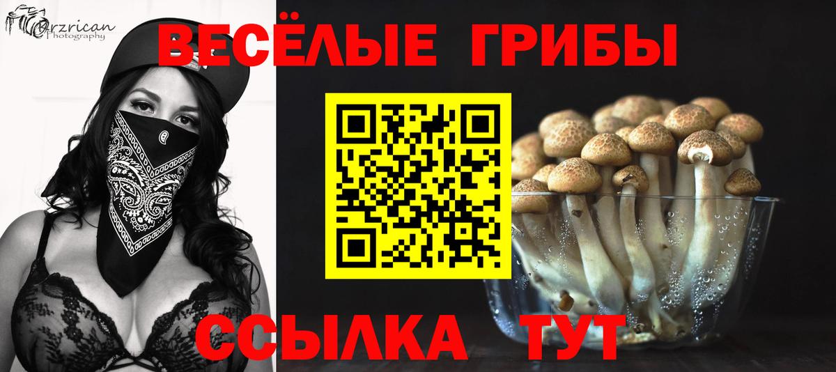 Псилоцибиновые грибы ЛСД Озёры