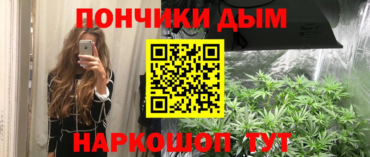 Бошки Шишки семена Озёры